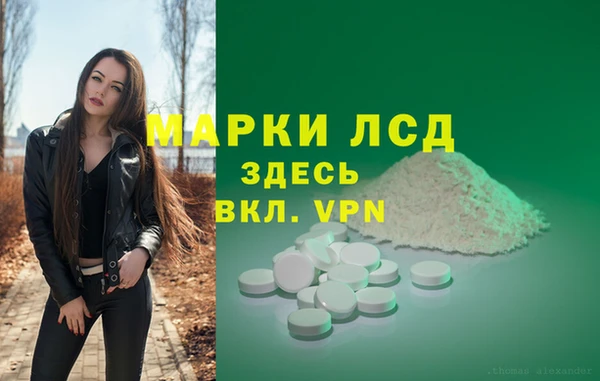 эйфоретик Осинники