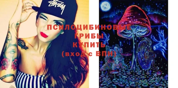 эйфоретик Осинники